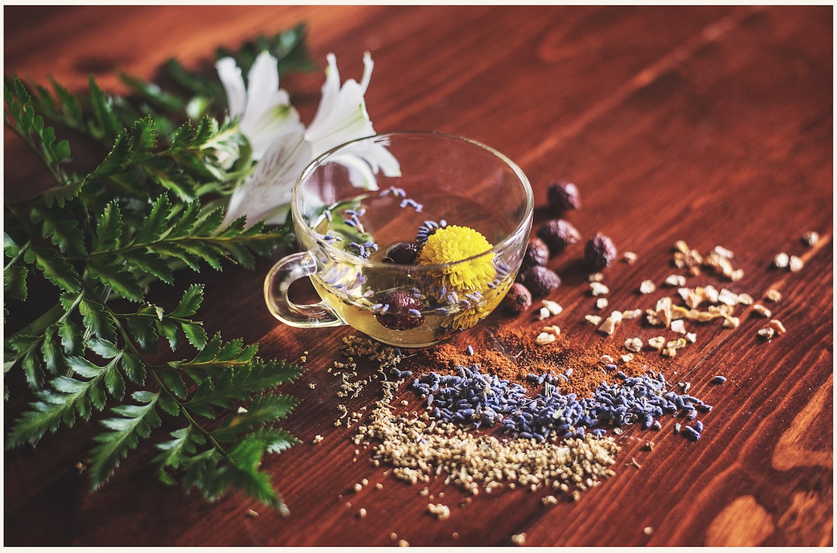 Complete guide to organic certification